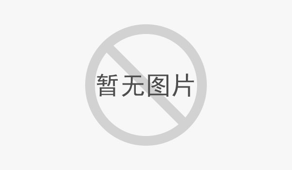 溫度過(guò)熱對(duì)廂式壓濾機(jī)的影響？